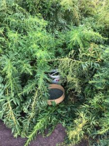 ANKARA (AA) – İçişleri Bakanlığı, Diyarbakır'da 155 bin 950 kök