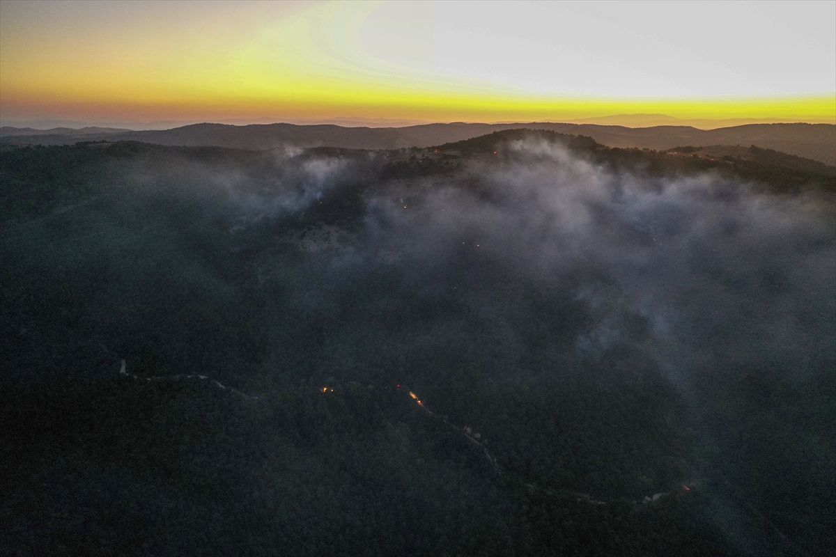GÜNCELLEME – Eskişehir'de çıkan orman yangınına müdahale ediliyor