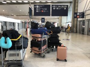 PARİS (AA) – Fransa'da hava trafik kontrolörlerinin grev çağrısıyla çok