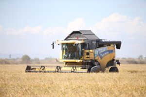 BALIKESİR (AA) – MİRAÇ KAYA – Balıkesir'de 155 bin dekar