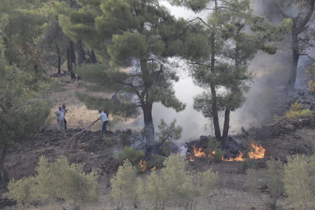 Hatay'da ormanlık alanda çıkan yangına müdahale ediliyor