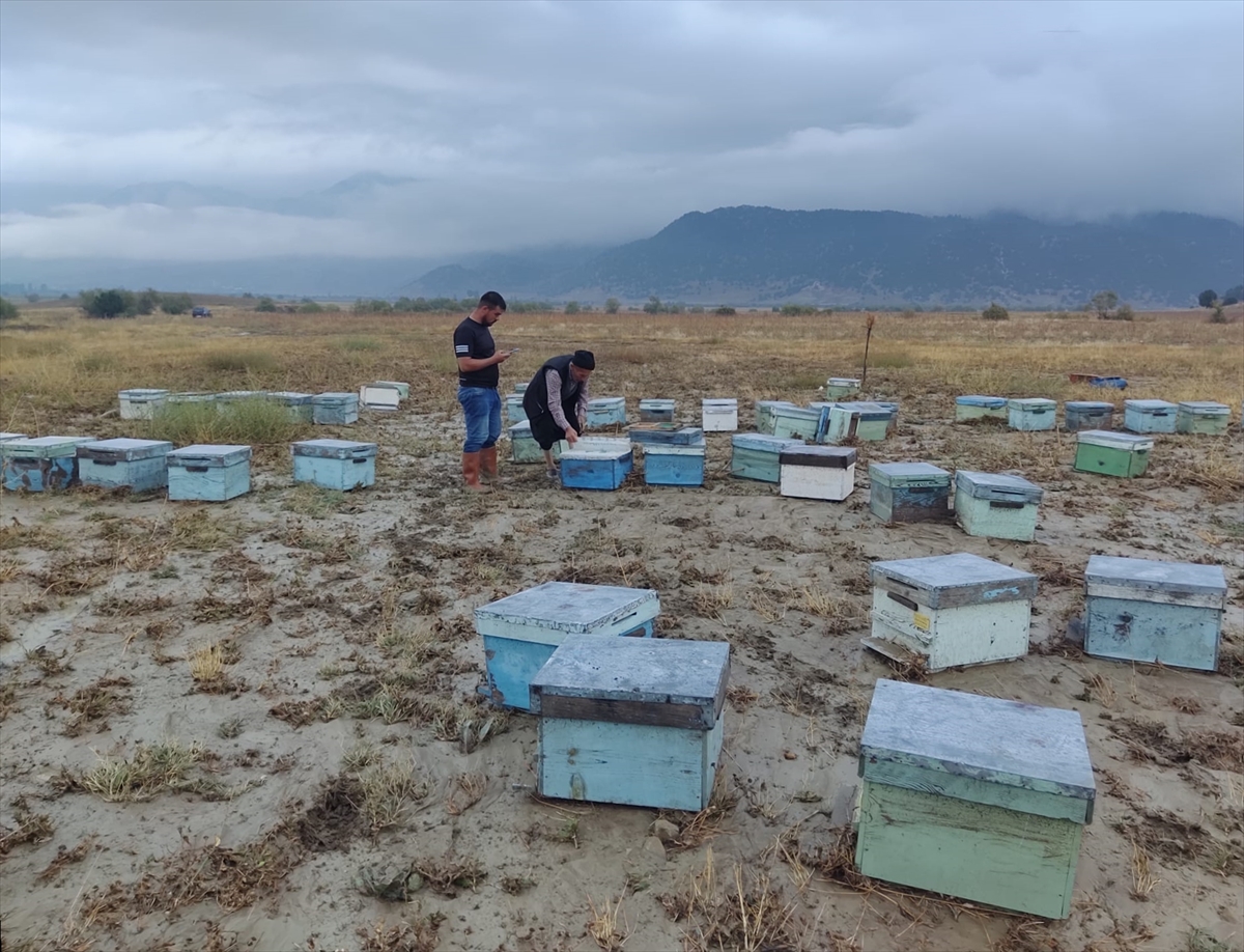 Kahramanmaraş'ta 45 arı kovanı sele kapıldı