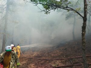 KAHRAMANMARAŞ (AA) – Kahramanmaraş'ın Onikişubat ilçesinde çıkan orman yangınında yaklaşık