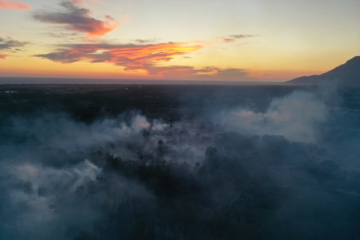 GÜNCELLEME – Kaş'ta ağaçlandırma sahasında yeniden çıkan yangın seralara sıçradı