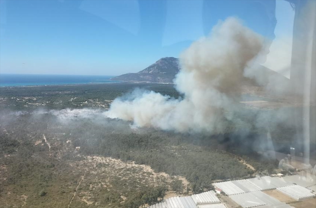 Kaş'ta ağaçlandırma sahasındaki yangın yeniden başladı