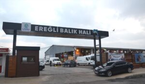 KOCAELİ (AA) – Kocaeli'de av yasağının sona ermesinin ardından "vira