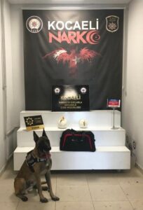 KOCAELİ (AA) – Anadolu Otoyolu'nun Kocaeli kesiminde durdurulan yolcu otobüsünün