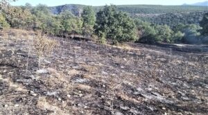 KÜTAHYA (AA) – Kütahya’nın Gediz ilçesinde çıkan orman yangını kontrol