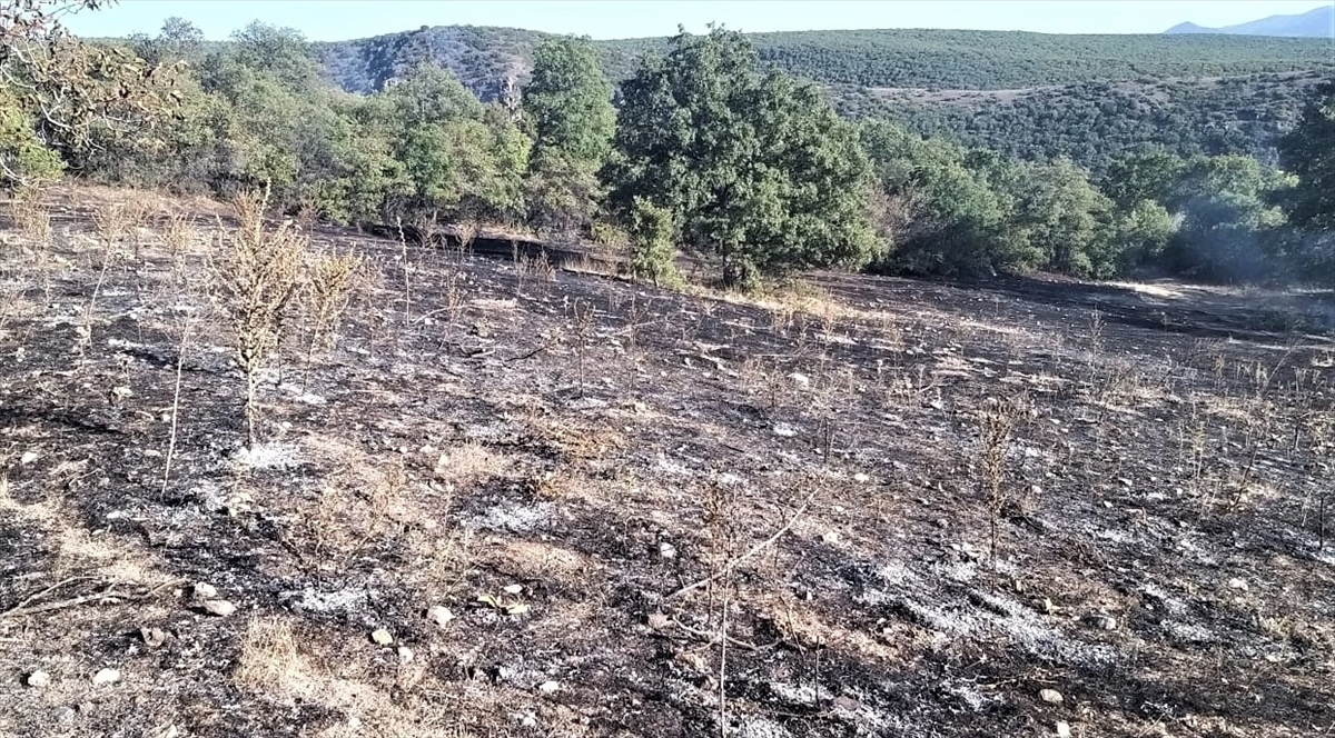 Kütahya’da çıkan orman yangını kontrol altına alınarak söndürüldü