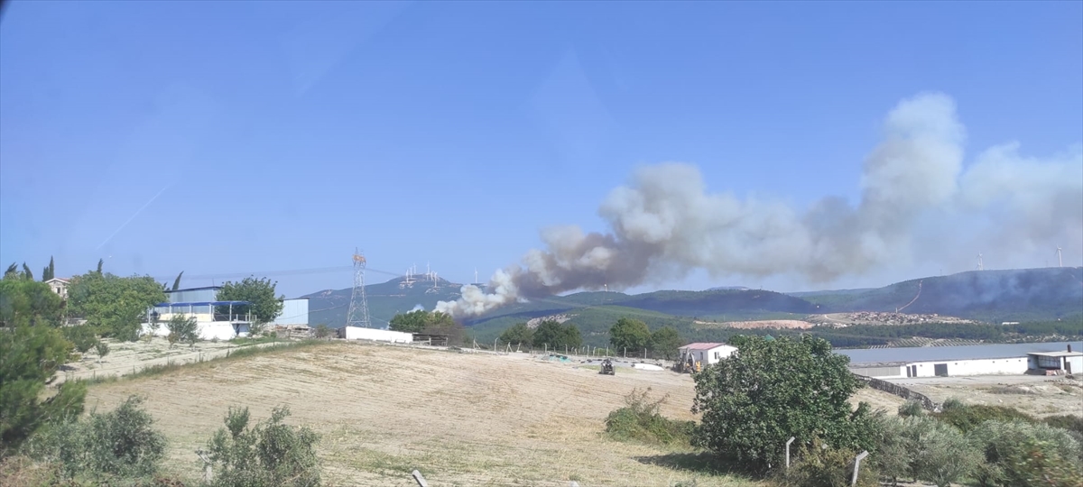 Manisa Soma'da bir orman yangını daha çıktı