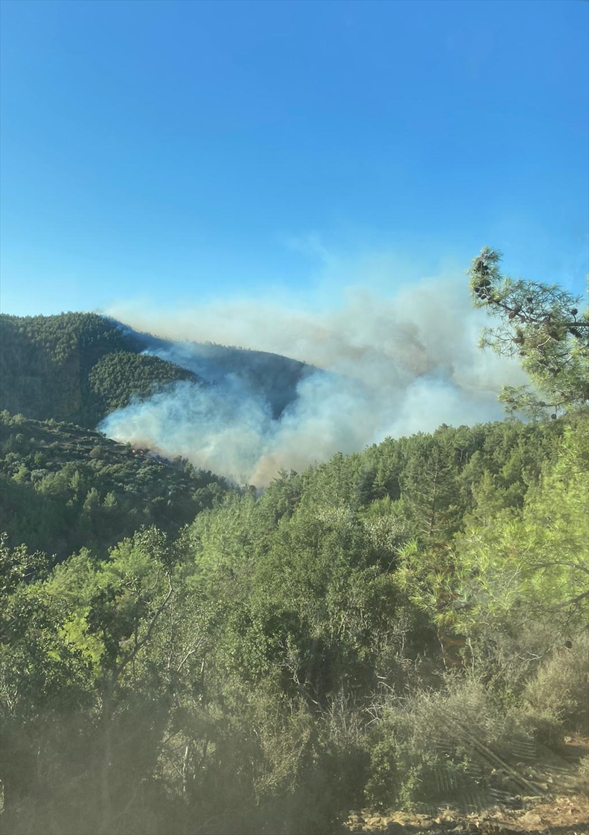 MERSİN (AA) – Mersin'in Gülnar ilçesinde çıkan orman yangını kontrol