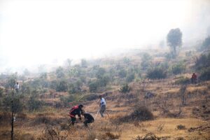 MERSİN (AA) – Mersin'in Gülnar ilçesinde çıkan orman yangını, havadan