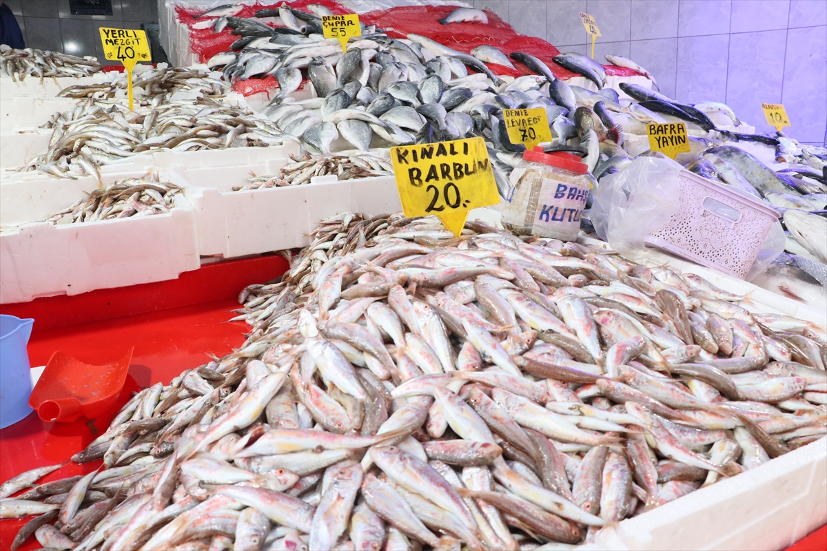 Samsun'da tezgahlarda mezgit, barbunya ve istavrit bolluğu yaşanıyor