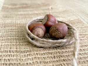 ANKARA (AA) – Sanayi ve Teknoloji Bakanlığı, Türkiye'de tarımsal ihracatın