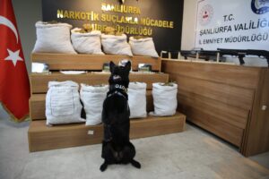 ŞANLIURFA (AA) – Şanlıurfa'da helikopter destekli uyuşturucu operasyonunda 86 şüpheli