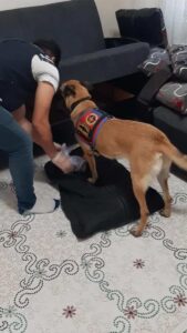 ANKARA (AA) – PKK/KCK-PYD/YPG terör örgütünce, yargı mensuplarının da içerisinde