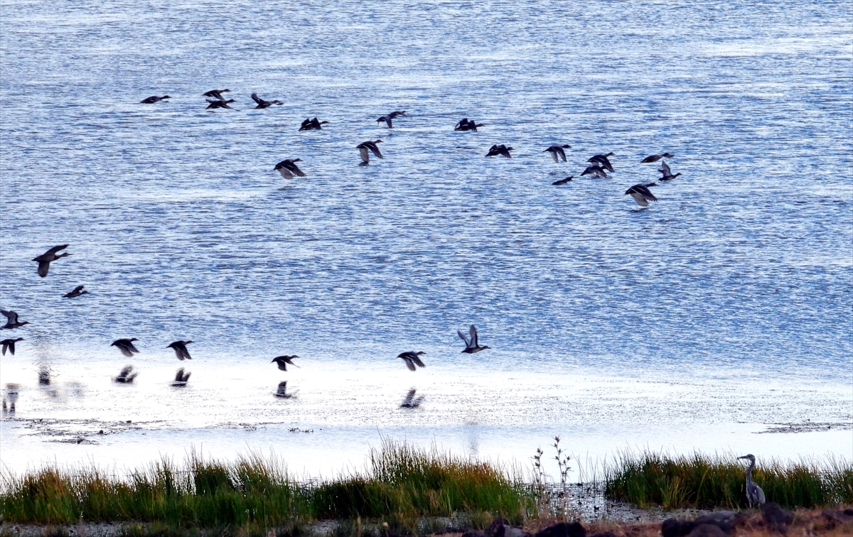 Sarıkamış Asboğa Gölü'nde turizm 12 aya yayılacak