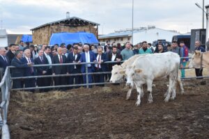 - "Dünyada artık herkes yerelden kalkınmaya büyük önem veriyor. Bu