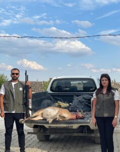 TUNCELİ (AA) – Tunceli'nin Hozat ilçesinde koruma altındaki yaban keçisini