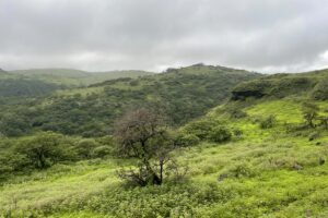 - Dağları ve ovalarıyla turistlerin gözde bölgelerinden biri olan Etiin,