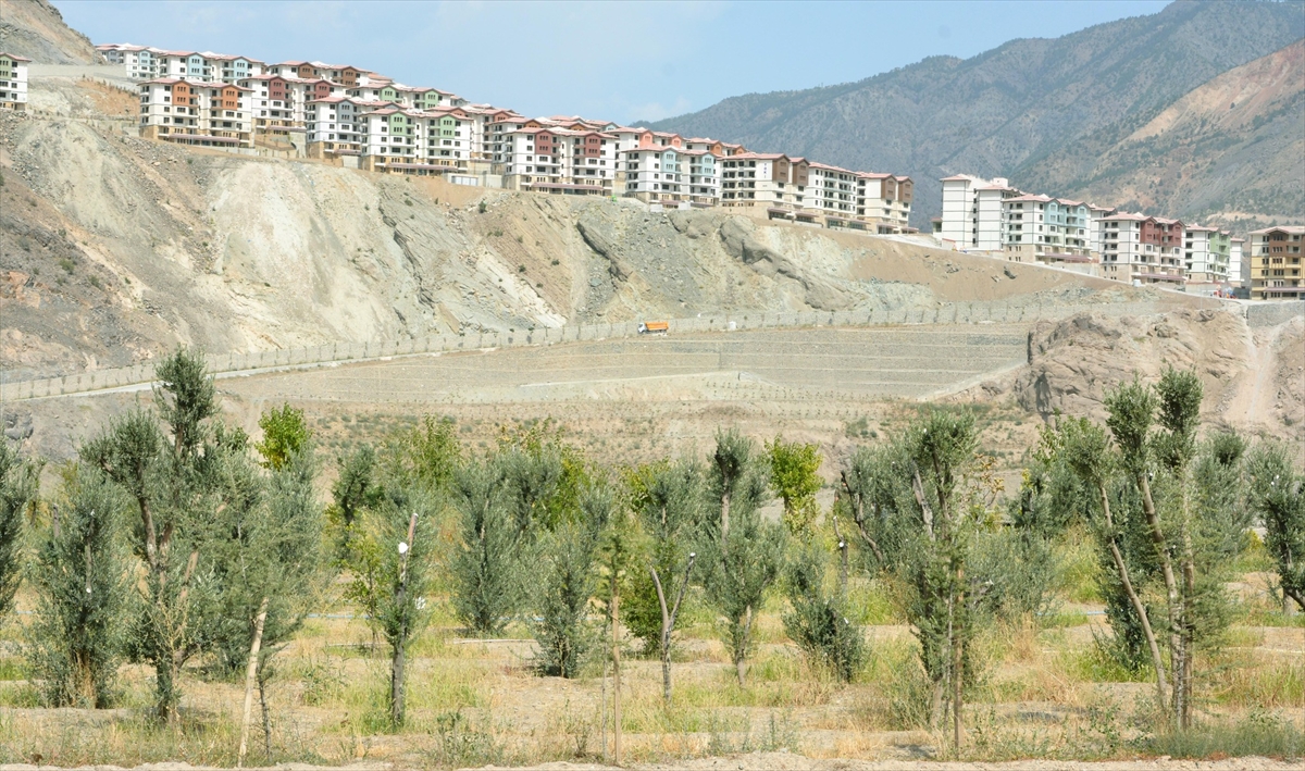 Yusufeli'nin yeni yerleşim yerinde 300 dekarlık alan ağaçlandırıldı