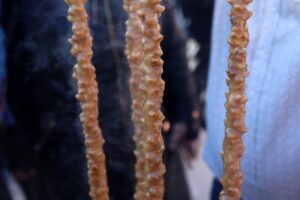 - "Çok şükür şimdi kendine yeten bir ülkeyiz. Kapıları kapatsak