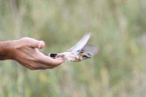 IĞDIR (AA) – HÜSEYİN YILDIZ – Dünyanın farklı kıtalarından gönüllü