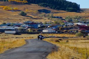 ARDAHAN (AA) – Ardahan'ın Göle ilçesindeki ormanlık alanlar ve ova