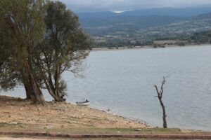 - "Yarışmamızın kura çekimi 2 Ekim Pazar günü geçekleşti. O