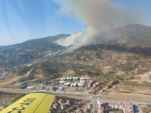 AYDIN (AA) – Aydın'ın Söke ilçesinde makilik alanda çıkan yangına