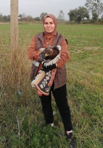 BOLU (AA) – Bolu'nun Mudurnu ilçesinde yaralı halde bulunan kızıl