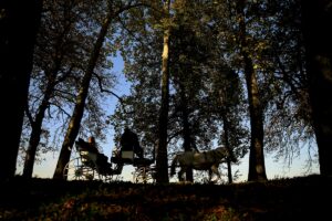 SARAYBOSNA (AA) – Zengin tarihi ve doğal güzellikleriyle bilinen Bosna