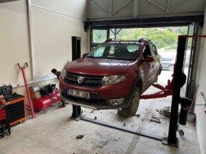 KASTAMONU (AA) – ÖZGÜR ALANTOR – Kastamonu'nun Bozkurt ilçesinde 11