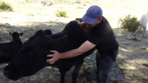 AFYONKARAHİSAR (AA) – Denizli'deki 12 yıl yaptığı kuaförlüğü bırakarak Afyonkarahisar'ın