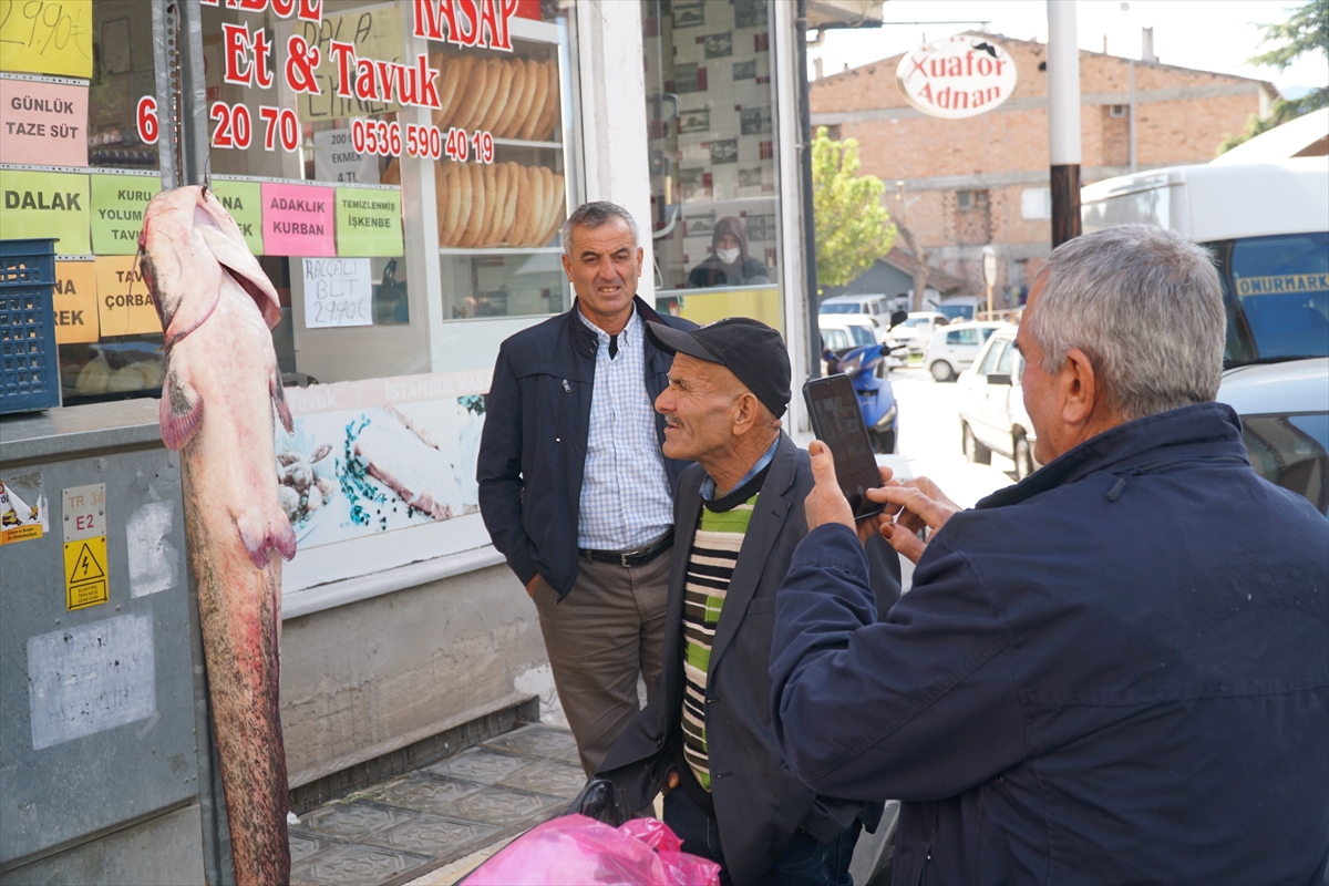 Çorum'da amatör balıkçılar oltayla 38 ve 43 kilogramlık yayın balıkları yakaladı