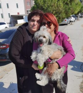 DENİZLİ (AA) – Denizli'de trafik kazasında yaralanan Çekyalı çiftin köpeğine