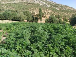 ANKARA (AA) – İçişleri Bakanlığı, Diyarbakır kırsalında 520 kilogram toz