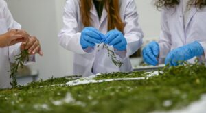 İZMİR (AA) – İleri düzey araştırmaların yapıldığı Dokuz Eylül Üniversitesi