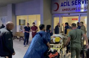 ERZİNCAN (AA) – Erzincan'ın Üzümlü ilçesinde ayının saldırısı sonucu ağır