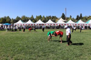 - Festival kapsamında 11 ilden 300 sporcunun katılımıyla Aba Güreşi