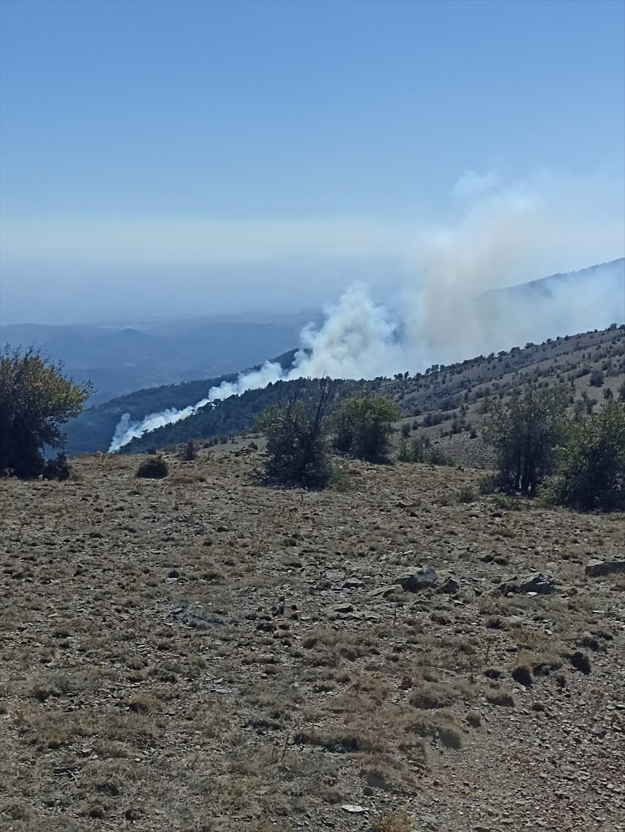 İzmir'de ormanlık alanda çıkan yangın kontrol altına alındı