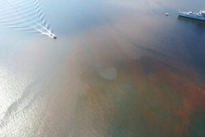 KOCAELİ (AA) – İzmit Körfezi'nde alg patlaması sonucu deniz yüzeyinin