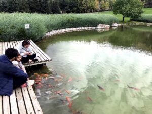 KIRŞEHİR (AA) – ABDULLAH YILDIZ – Kırşehir'in Kaman ilçesindeki Kalehöyük