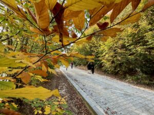 DÜZCE (AA) – Düzce'nin Kaynaşlı ilçesinde bulunan Kurugöl Tabiat Parkı'ndaki