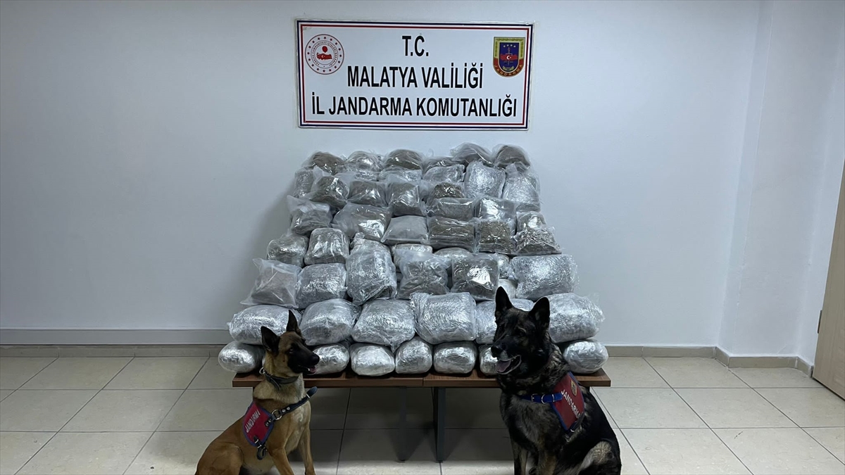 Malatya'da 83 kilo 287 gram skunk ele geçirildi