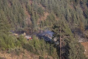 MERSİN (AA) – Mersin'in Mezitli ilçesinde çıkan orman yangını söndürüldü.