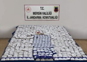 MERSİN (AA) – Mersin'in Silifke ve Çamlıyayla ilçelerinde düzenlenen sahte