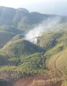 MUĞLA (AA) – Muğla'nın Dalaman ilçesinde çıkan orman yangını kontrol