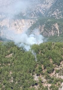 MUĞLA (AA) – Muğla'nın Fethiye ilçesinde çıkan orman yangını kontrol