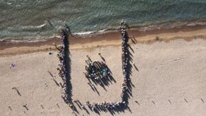 -  Muğla'da, DEKAMER görevlilerince ikisine uydu takip cihazı yerleştirilen